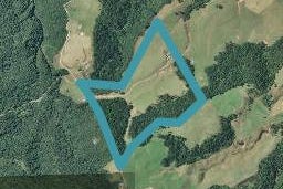 929 Work Road, Whakamarama, Katikati