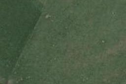 1 Arapawa Street, Belfast, Christchurch