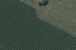 25 Pinot Crescent, Ohau, Ōhau