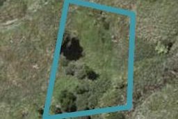 169 Karuhiruhi Street, WAIKANAE, WAIKANAE