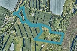 88 PAHOIA ROAD, Whakamarama, Western Bay Of Plenty