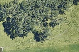 27 Waiteti Road, NGONGOTAHA, ROTORUA
