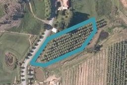 421 King Road, Mangawhai, Mangawhai