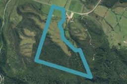 1251 Ruatapu-Ross Road