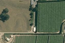 193 Pongakawa Bush Road, Pongakawa, Te Puke