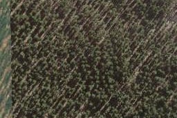 15 Katipo Drive, Mangawhai, Mangawhai