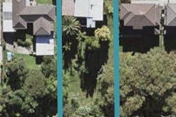 109 Triangle Road, Massey, Auckland