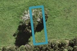 56 Te Aniwaniwa Terrace, Albany, Auckland