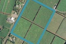 183 No 4 Road, Te Puke, Te Puke