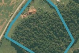 89 Oldfield Road, Wellsford, Wellsford
