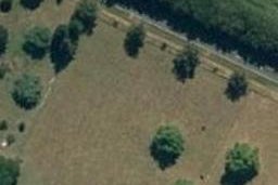 1483 Ongaonga Road, Ongaonga, Ongaonga