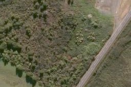 0 State Highway 12, Kaikohe, Kaikohe