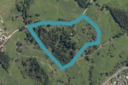 0 Griffin Road, Maungaturoto