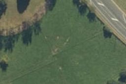 2584 Kihikihi Road, Kihikihi, Te Awamutu