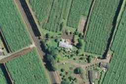 299 No 2 Road, Te Puke, Te Puke