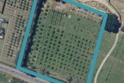 263 Motuiti Road, Foxton, Foxton