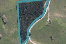 100 Marohemo Road, Maungaturoto