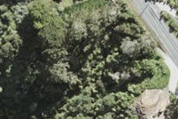 1226 East Coast Road, Albany