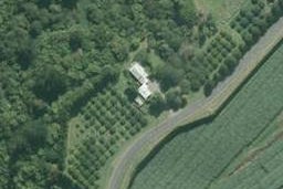 560 Rangiuru Road, Rangiuru, Te Puke