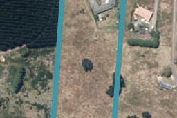 242 Foxton Shannon Road, Foxton, Foxton