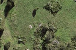 23 Seasons Way, Schnapper Rock, Auckland