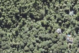 55 Opanuku Road, Henderson Valley, Auckland