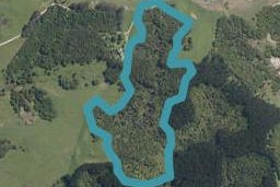 0 State Hway 1, Topuni, Wellsford