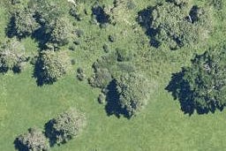 26 Mokoia Road, NGONGOTAHA, ROTORUA