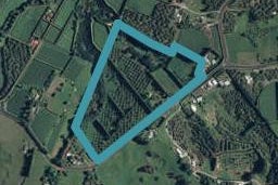 245 Kauri Point Road, Tahawai, Katikati