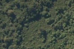 0 State Highway 1, Waiotaka Valley, Turangi