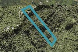 19 Jonkers Road, Waitākere, Auckland