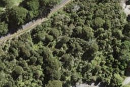83 Coulter Road, HENDERSON VALLEY, AUCKLAND