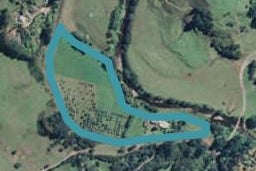 310 Woodland Road, Tahawai, Katikati