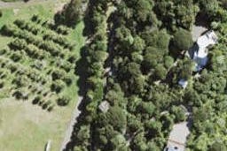 189 Carter Road, Oratia, Auckland