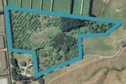 383 Wainui South Road, Whakamarama, Whakamārama