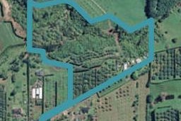 15 Thornton Road, Tahawai, Katikati