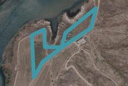119 Cornish Point Road, Cornish Point, Cromwell