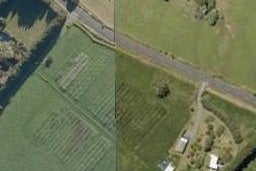 137 Apotu Road, Kauri