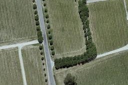 238 Jacksons Road, Rapaura