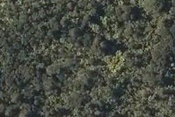 0 West Coast Road, Panguru, Panguru