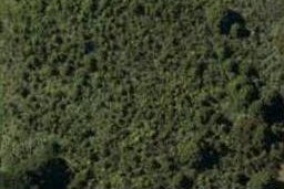 0 Church Road, Ngararatunua, Kamo