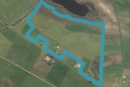 126 Lake Road, Ohaupo, Ohaupo