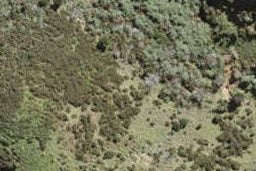 5 Tipa Road, Ostend, Waiheke Island