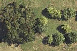 543C Back Ormond Road, Makauri, Gisborne