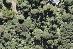 876 West Coast Road, Waiatarua, Auckland