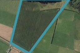 350 Climie Road, Ngaere