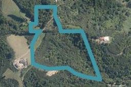 0 Dryland Track, Hikurangi, Hikurangi