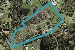 96 Elmore Road, Albany