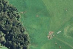 1466 Burd Road, OROPI, Oropi