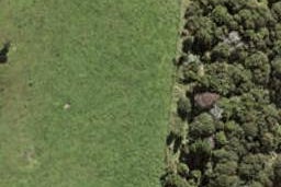 78 Te Aniwaniwa Terrace, Albany, Auckland